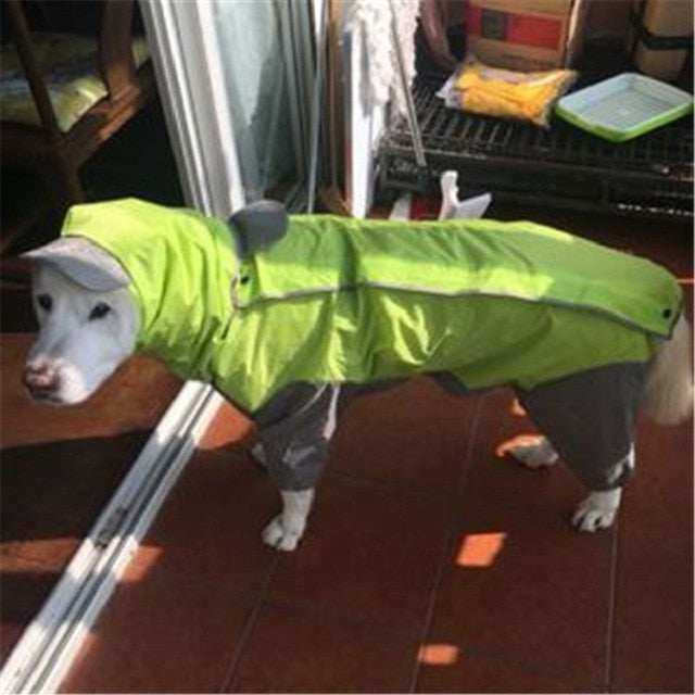 Dog Raincoats