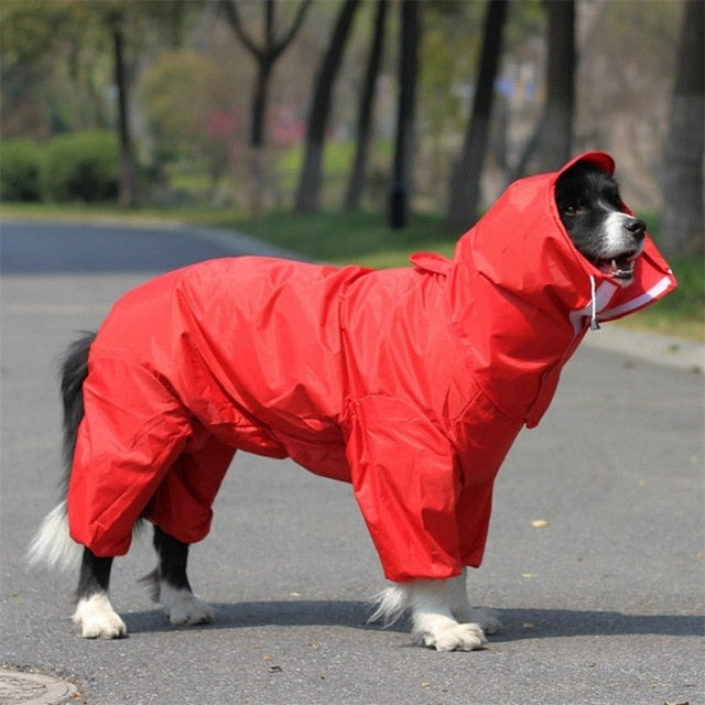 Dog Raincoats