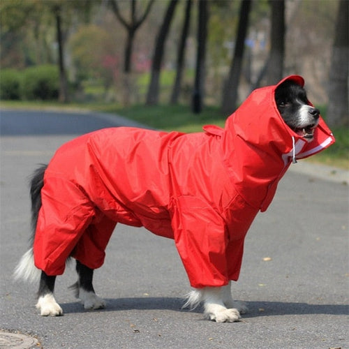 Dog Raincoats