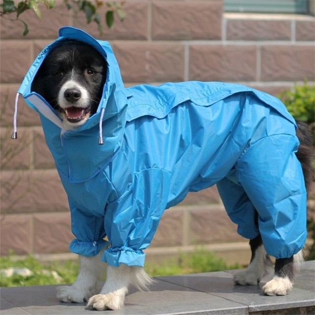 Dog Raincoats