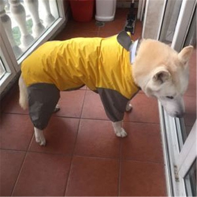 Dog Raincoats