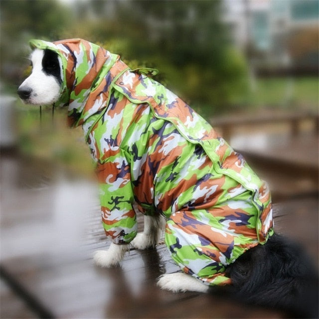 Dog Raincoats